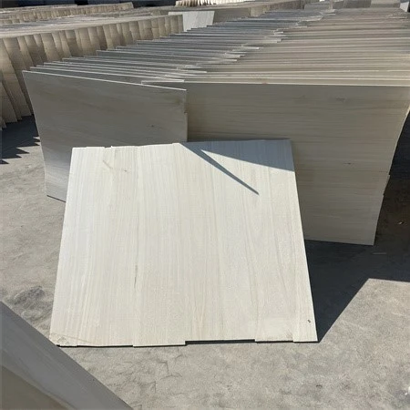 product-450-450